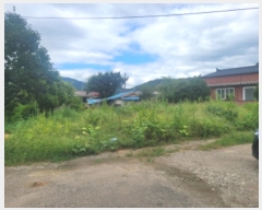  2024Ÿ118887  õ û ַø 246      ()