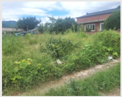  2024Ÿ118887  õ û ַø 246      ()