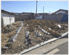  2024Ÿ128488  õ  368       ()