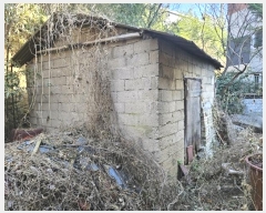  2024Ÿ��128709  ���ð��