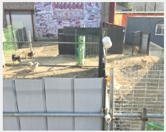  2024Ÿ128921  ĥ  ⼺ 1022-10      ()