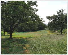  2024Ÿ4391  û ȭ Ÿ 793      ()