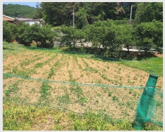  2024Ÿ4391  û ȭ Ÿ 793      ()