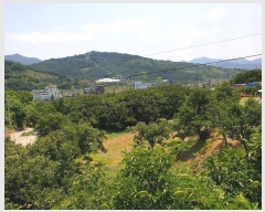  2024Ÿ4391  û ȭ Ÿ 793      ()