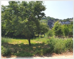  2024Ÿ4391  û ȭ Ÿ 793      ()