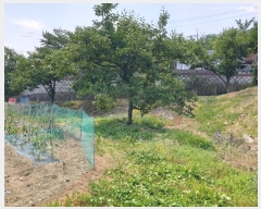  2024Ÿ4391  û ȭ Ÿ 793      ()