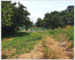  2024Ÿ4391  û ȭ Ÿ 793      ()