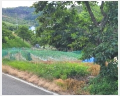  2024Ÿ4391  û ȭ Ÿ 793      ()