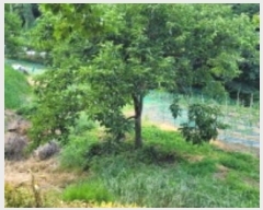  2024Ÿ4391  û ȭ Ÿ 793      ()