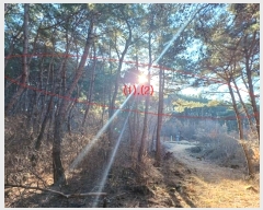  2024Ÿ11436 뱸   207       (Ӿ)