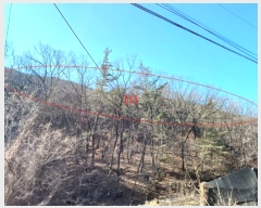  2024Ÿ11436 뱸   207       (Ӿ)