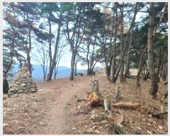  2024Ÿ11436 뱸   207       (Ӿ)