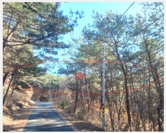  2024Ÿ11436 뱸   207       (Ӿ)