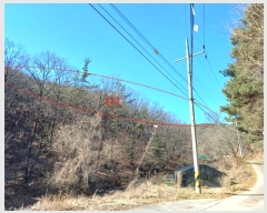  2024Ÿ11436 뱸   207       (Ӿ)