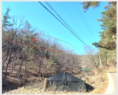  2024Ÿ11436 뱸   207       (Ӿ)