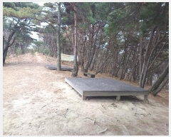  2024Ÿ11436 뱸   207       (Ӿ)