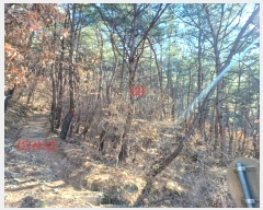  2024Ÿ11436 뱸   207       (Ӿ)