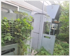  2024Ÿ��9105  �Ӿ߰��