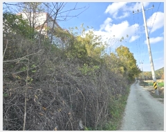  2024Ÿ��9105  �Ӿ߰��