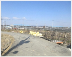  2024Ÿ��105799 ��� ��õ�� ��â�� ��â�� 100-1      ������