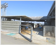  2024Ÿ��105799 ��� ��õ�� ��â�� ��â�� 100-1      ������