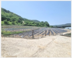  2024Ÿ��108620 ��� ���� �뼺�� ��õ�� 209      ����(��)���