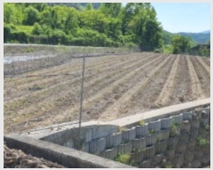  2024Ÿ��108620 ��� ���� �뼺�� ��õ�� 209      ����(��)���