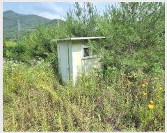  2024Ÿ��113325 ��� û���� ��õ�� ��õ�� 1167-1      ����(�Ӿ�)���