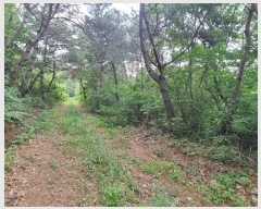  2024Ÿ��113325 ��� û���� ��õ�� ��õ�� 1167-1      ����(�Ӿ�)���