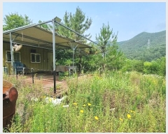  2024Ÿ��113325 ��� û���� ��õ�� ��õ�� 1167-1      ����(�Ӿ�)���