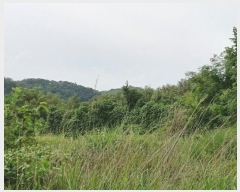  2024Ÿ��115369 ��� ���� ���θ� ��õ�� 535-2      ����(��1)���