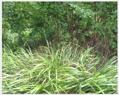  2024Ÿ��115369 ��� ���� ���θ� ��õ�� 535-2      ����(��1)���