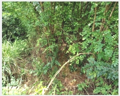  2024Ÿ��115369 ��� ���� ���θ� ��õ�� 535-2      ����(��1)���