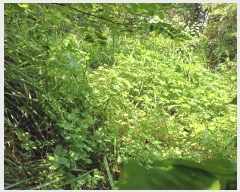  2024Ÿ��115369 ��� ���� ���θ� ��õ�� 535-2      ����(��1)���