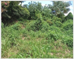  2024Ÿ��115369 ��� ���� ���θ� ��õ�� 535-2      ����(��1)���