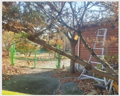  2024Ÿ��122770  �������