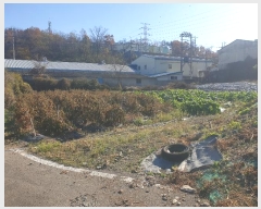  2024Ÿ��122770  �������