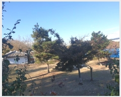  2024Ÿ��122770  �������