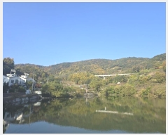  2024Ÿ124738  û ̼  40      (Ӿ)