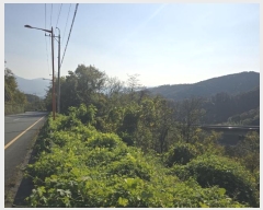  2024Ÿ124738  û ̼  40      (Ӿ)