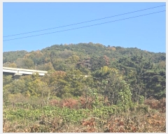  2024Ÿ124738  û ̼  40      (Ӿ)