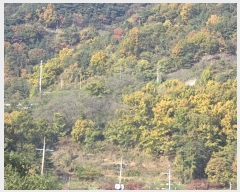  2024Ÿ124738  û ̼  40      (Ӿ)