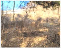  2024Ÿ124738  û ̼  40      (Ӿ)