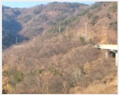  2024Ÿ124738  û ̼  40      (Ӿ)