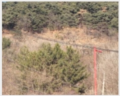  2024Ÿ124738  û ̼  40      (Ӿ)