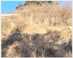  2024Ÿ124738  û ̼  40      (Ӿ)