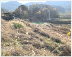  2024Ÿ125496  õ ȭϸ  708      ()