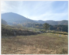  2024Ÿ125496  õ ȭϸ  708      ()