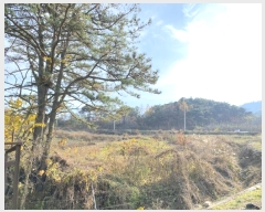  2024Ÿ125496  õ ȭϸ  708      ()