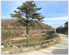  2024Ÿ125496  õ ȭϸ  708      ()